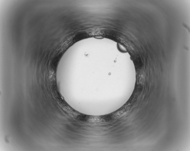 X0000096730521200802261456