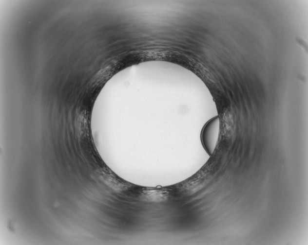 X0000096730522200802261456