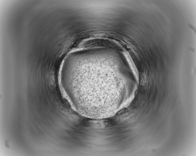 X0000096730524200802261456
