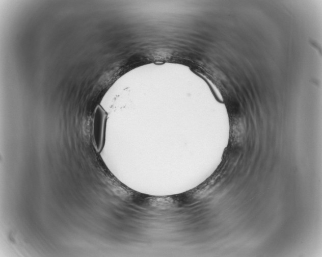 X0000096730525200802261456