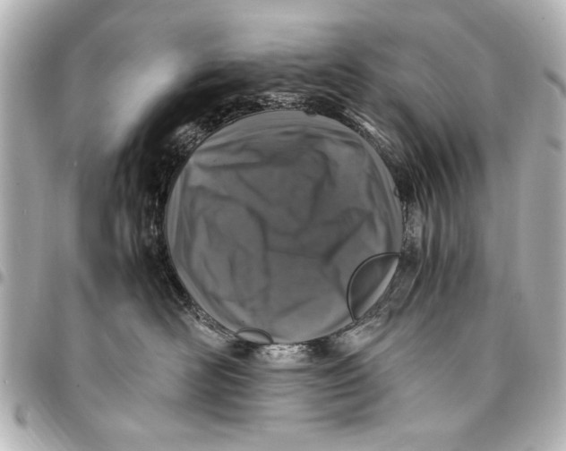 X0000096730526200802261456