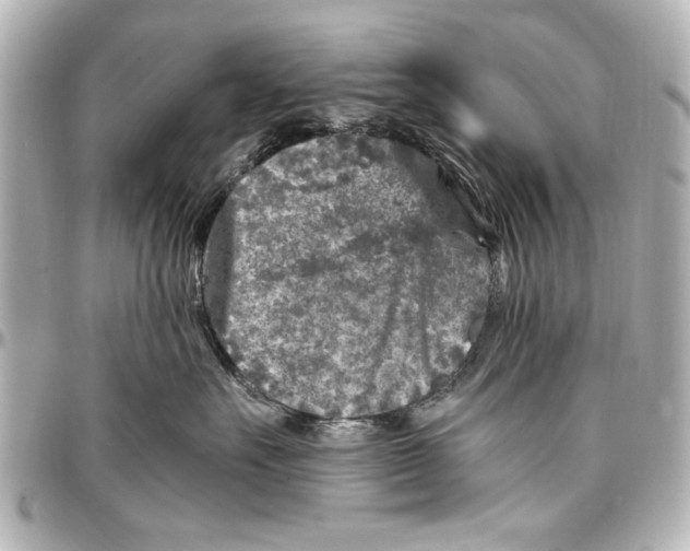 X0000096730527200802261456
