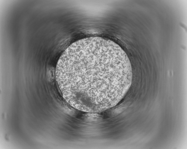 X0000096730528200802261456
