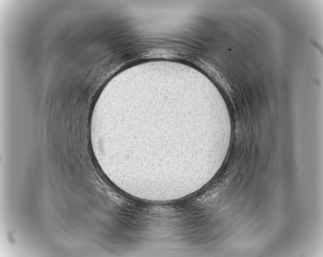 X0000096730529200802261455
