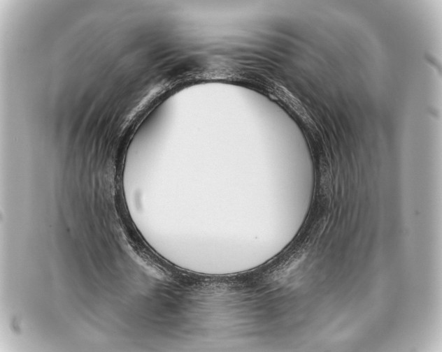 X0000096730530200802261455