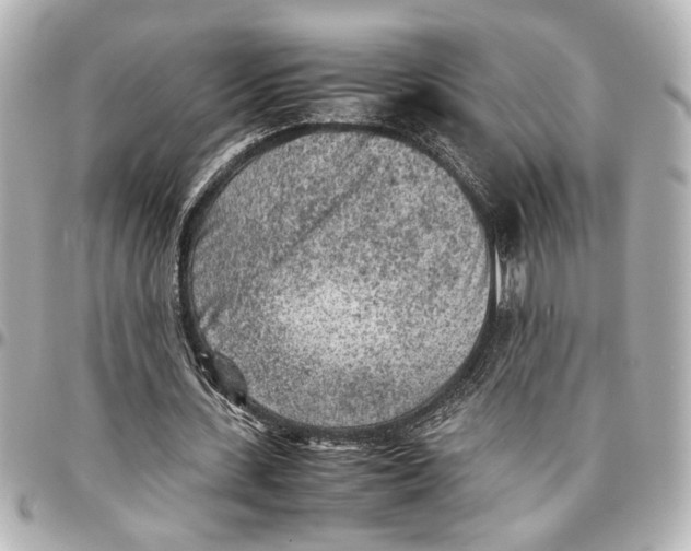 X0000096730531200802261455