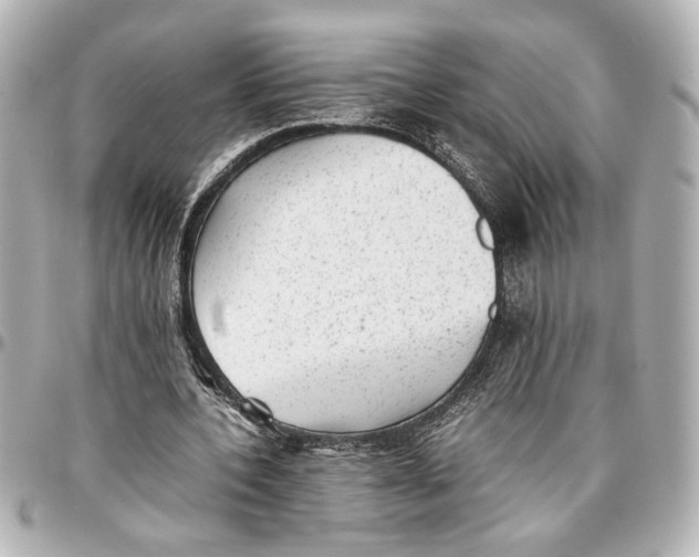 X0000096730532200802261455