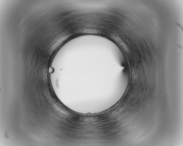X0000096730533200802261455