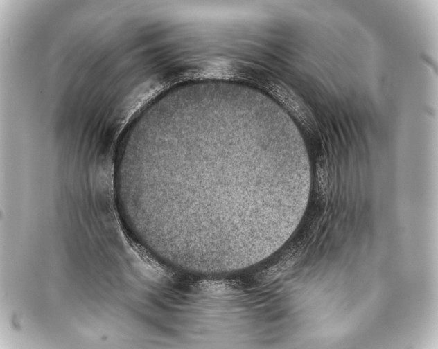 X0000096730534200802261455