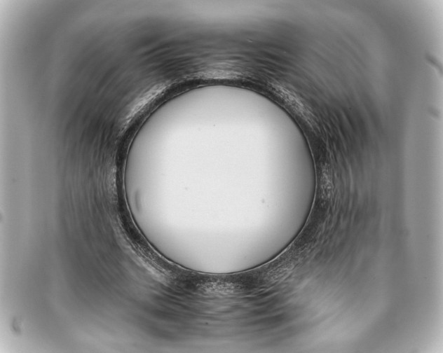 X0000096730535200802261455