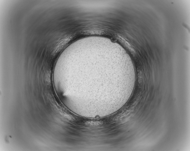 X0000096730537200802261455