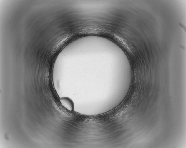 X0000096730538200802261455