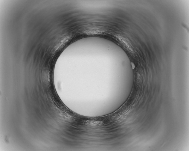 X0000096730539200802261455