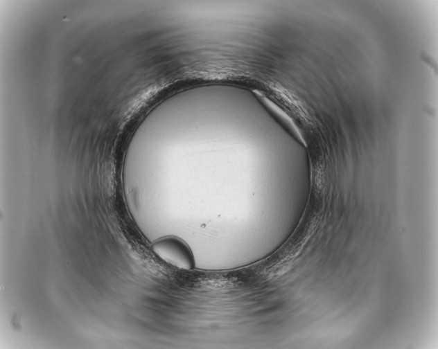 X0000096730540200802261455