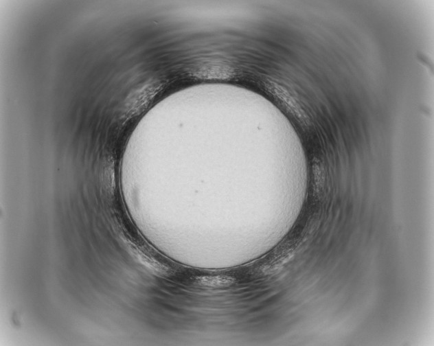 X0000096730541200802261455