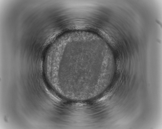 X0000096730542200802261455