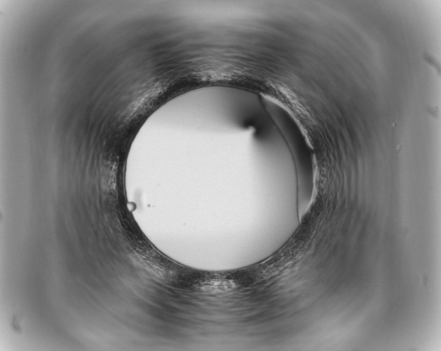 X0000096730543200802261455