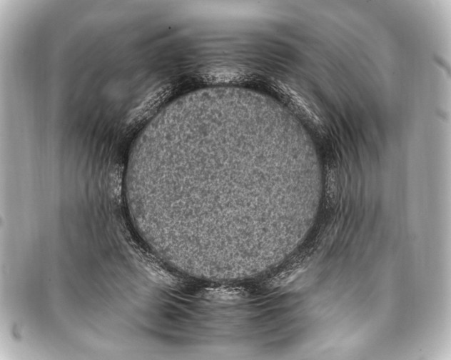 X0000096730545200802261455