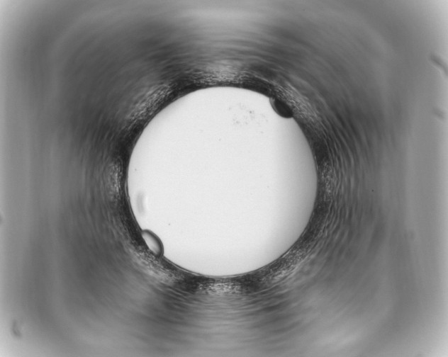 X0000096730546200802261455