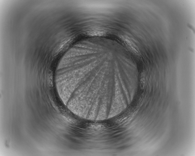 X0000096730547200802261455
