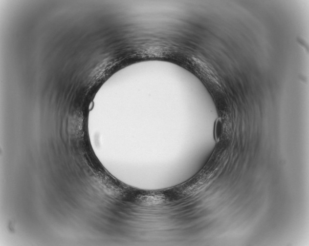 X0000096730548200802261455