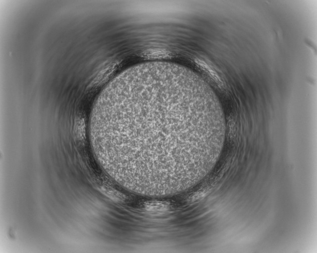 X0000096730549200802261455