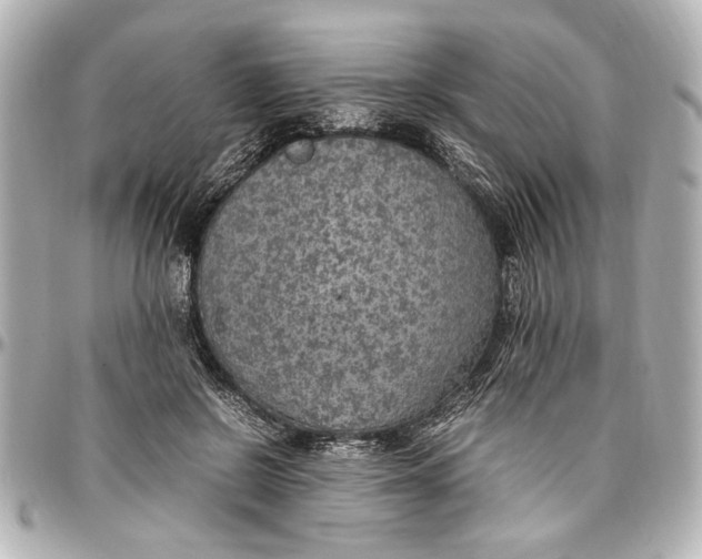 X0000096730550200802261455