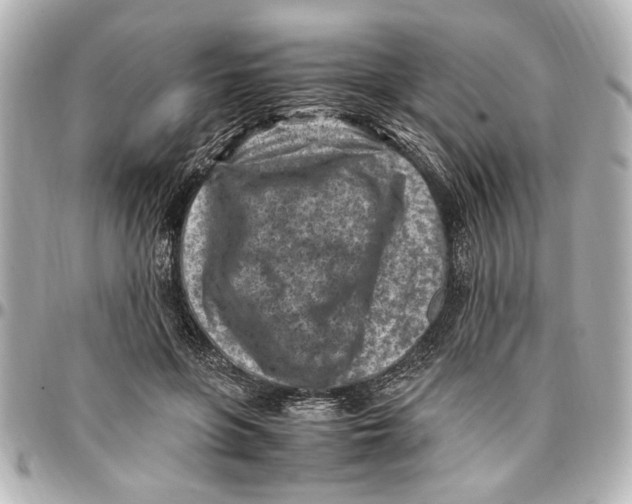 X0000096730551200802261455