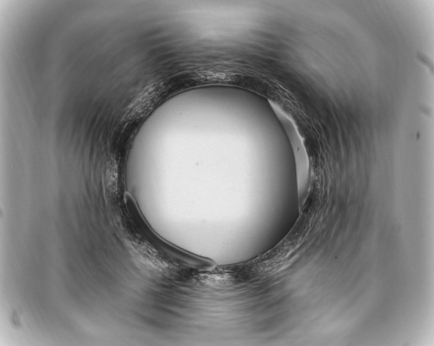 X0000096730552200802261455