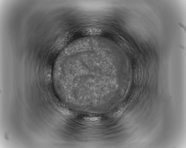 X0000096730553200802261455