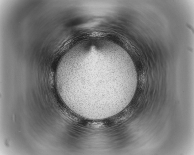 X0000096730554200802261455