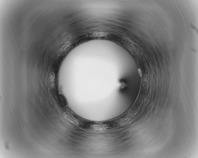 X0000096730556200802261455