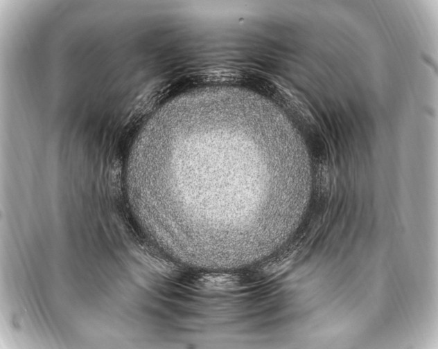 X0000096730557200802261455