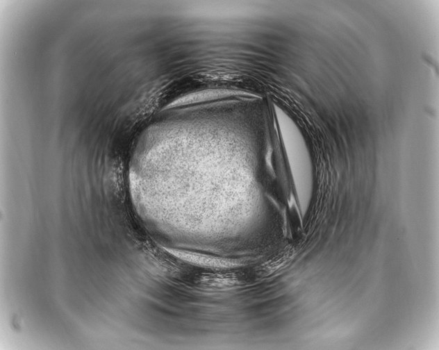 X0000096730559200802261455