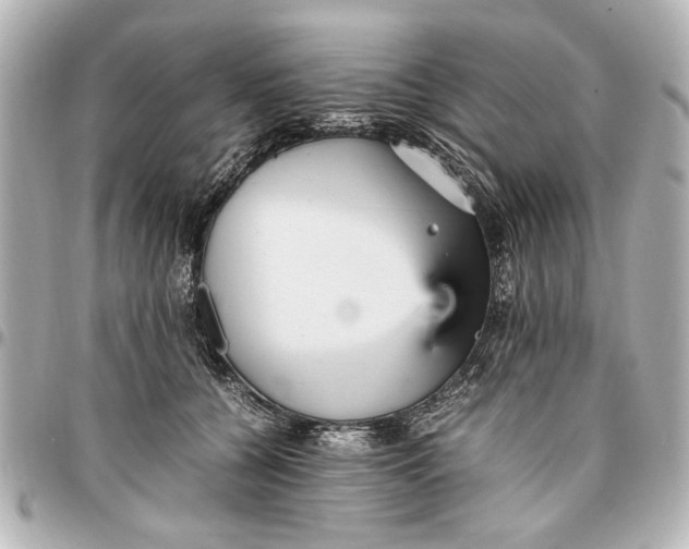 X0000096730560200802261455