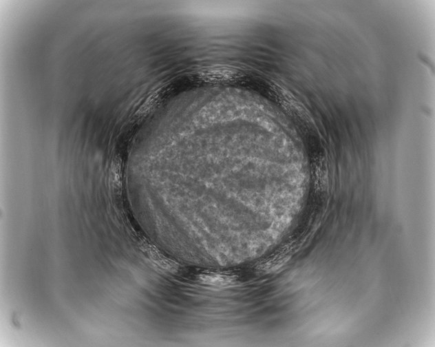 X0000096730561200802261455