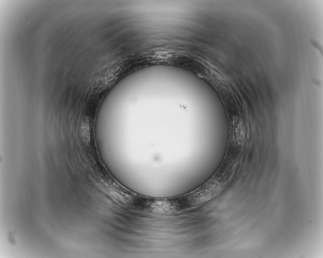X0000096730562200802261456