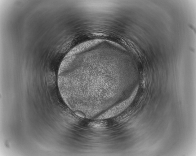 X0000096730563200802261456