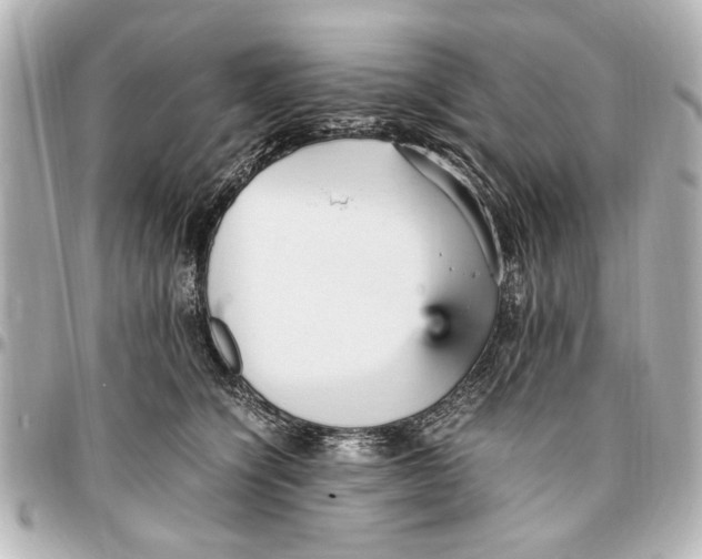 X0000096730564200802261456