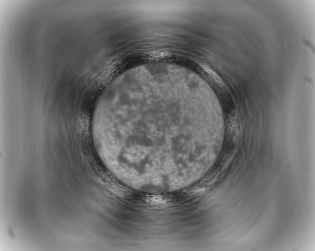 X0000096730565200802261456