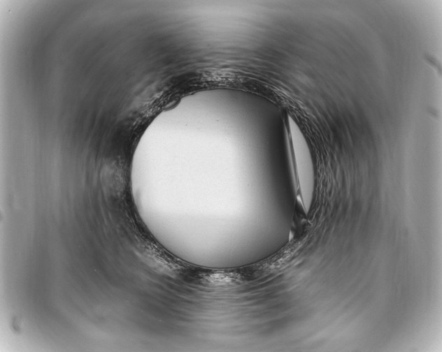 X0000096730566200802261456