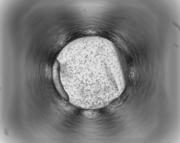X0000096730568200802261456