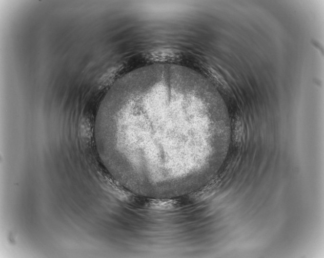 X0000096730569200802261456