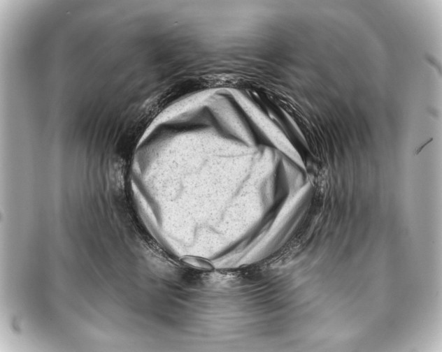 X0000096730570200802261456