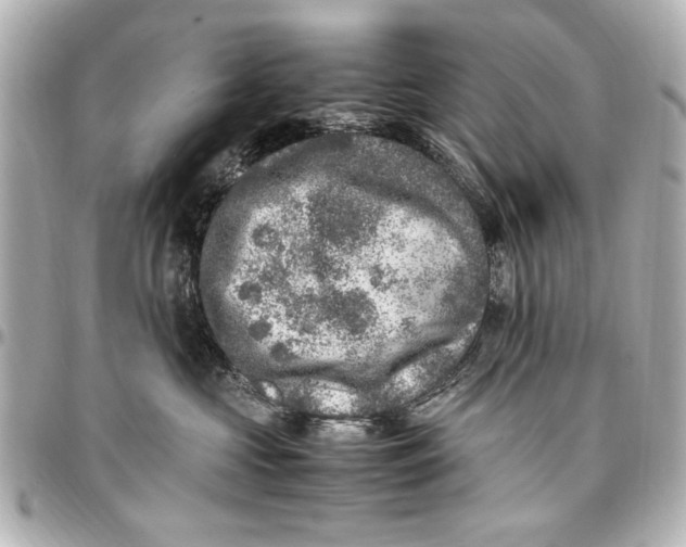 X0000096730573200802261456