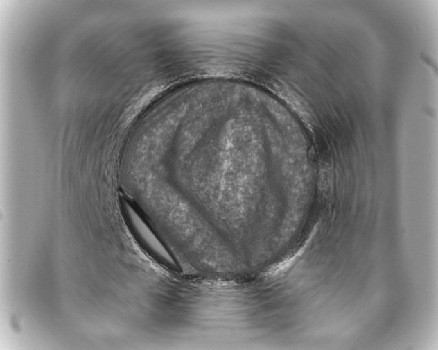 X0000096730577200802261455