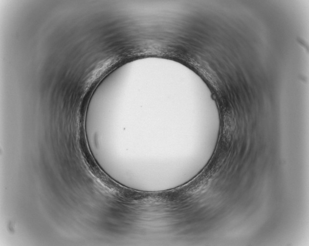 X0000096730578200802261455