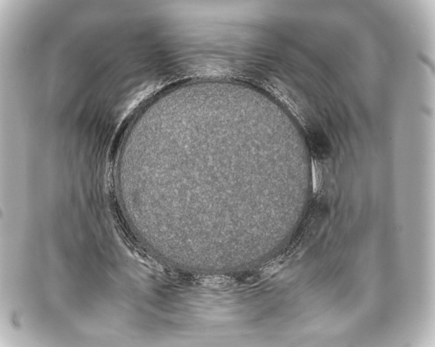 X0000096730579200802261455