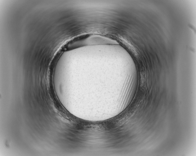 X0000096730580200802261455