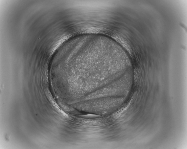 X0000096730581200802261455
